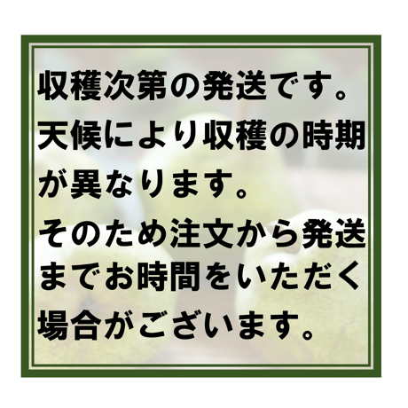 【予約受付中】 佐藤農園 庄内産バラード３ｋｇ箱入り 【全国一律送料込】