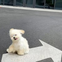 abu様 Please tap here★