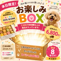 【数量限定】カラフルDOG SCONE入り♡お楽しみBOX