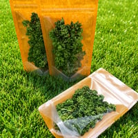 伊達野菜 / 愛犬パセリ 4g