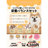 シニアに優しい栄養バランスセット（フリーズドライ）