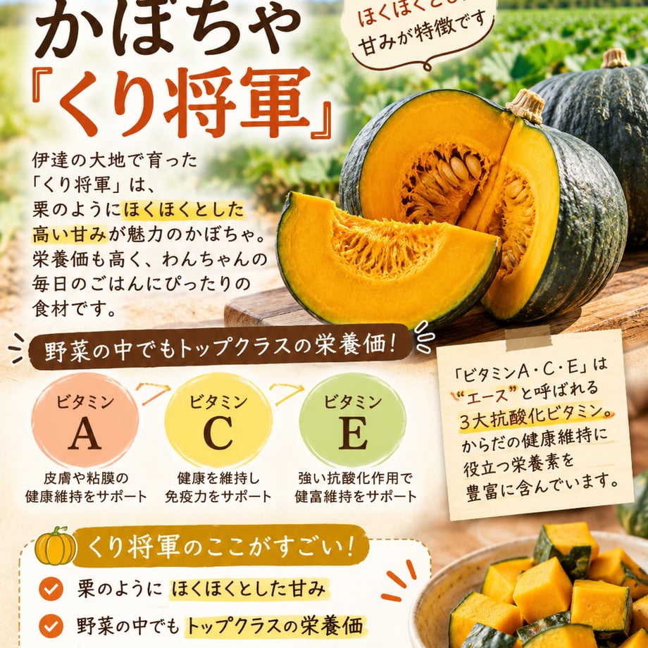 6ab12ea72695ae98e2d8a151