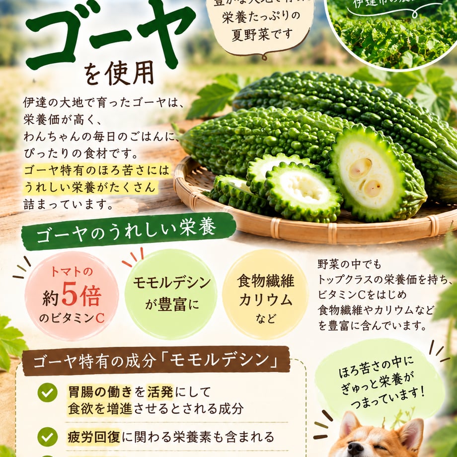 6ab12ea72695ae98e2d8a151