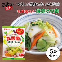 乳酸菌入り 浅漬けの素 60g（20g×3）×5個