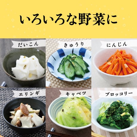 乳酸菌入り ゆず漬けの素 48g（16g×3）×5袋セット