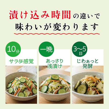 乳酸菌入り 浅漬けの素 60g（20g×3）×5個