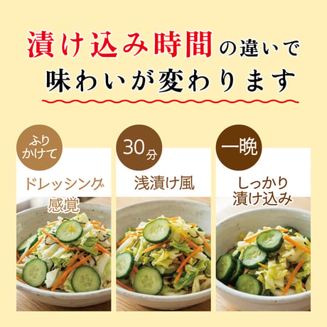 乳酸菌入り ゆず漬けの素 48g（16g×3）×5袋セット