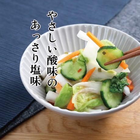 乳酸菌入り 浅漬けの素 60g（20g×3）×5個