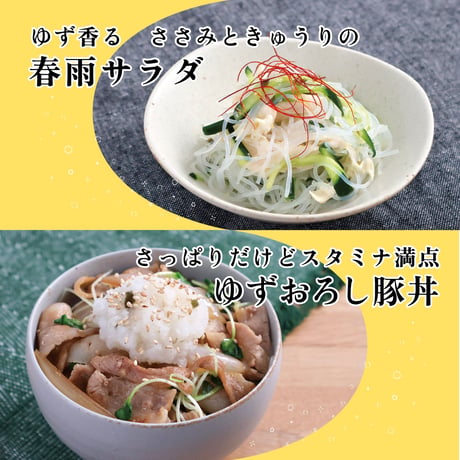 乳酸菌入り ゆず漬けの素 48g（16g×3）×5袋セット