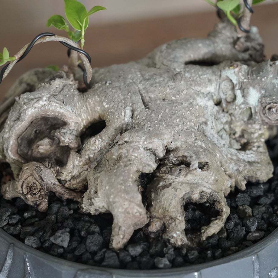 6aae4a601a4c8d1305e29991