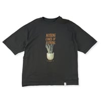 Sansevieria Tee / GRAY [サンフェード加工]