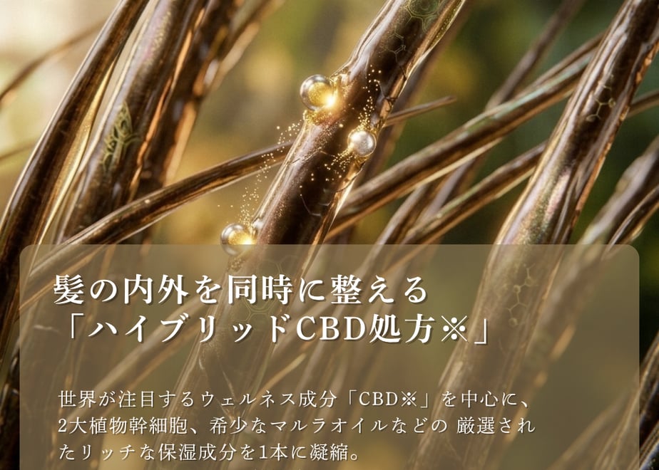 6ae366e690eb92f5a077ddb2