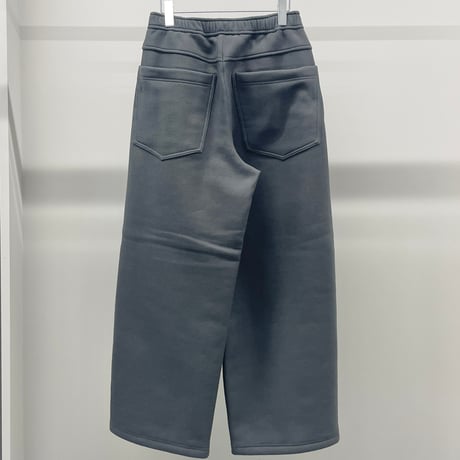 Athletic Fleece Tucked Wide Pants (GRAY)