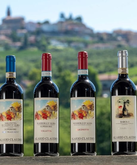 アラリオクラウディオ　ドルチェット・ディ・ディアーノ・ダルバ　ソリ・モンタグリッロ2024【 DOLCETTO DI DIANO D'ALBA SORI' MONTAGRILLO 2024】赤ワイン