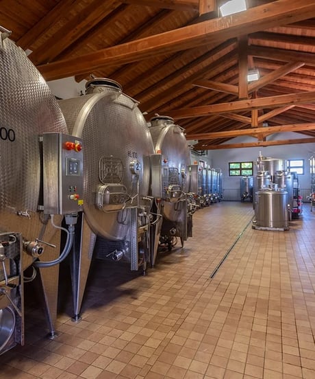 アラリオクラウディオ　ドルチェット・ディ・ディアーノ・ダルバ　ソリ・モンタグリッロ2024【 DOLCETTO DI DIANO D'ALBA SORI' MONTAGRILLO 2024】赤ワイン