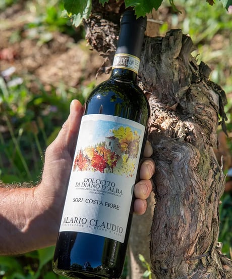 アラリオクラウディオ　ドルチェット・ディ・ディアーノ・ダルバ　ソリ・モンタグリッロ2024【 DOLCETTO DI DIANO D'ALBA SORI' MONTAGRILLO 2024】赤ワイン