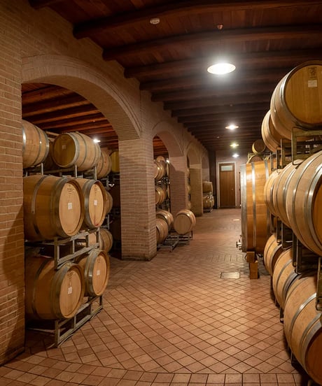 アラリオクラウディオ　ドルチェット・ディ・ディアーノ・ダルバ　ソリ・モンタグリッロ2024【 DOLCETTO DI DIANO D'ALBA SORI' MONTAGRILLO 2024】赤ワイン