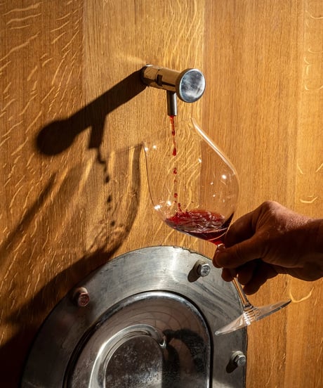 アラリオクラウディオ　ドルチェット・ディ・ディアーノ・ダルバ　ソリ・モンタグリッロ2024【 DOLCETTO DI DIANO D'ALBA SORI' MONTAGRILLO 2024】赤ワイン