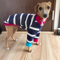 ごくごくふつうのボーダートレーナー