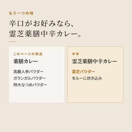 本格薬膳カレー