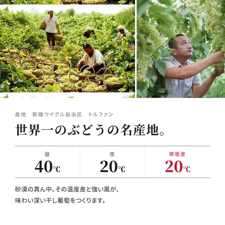 新物入荷！！シルクロードの干しブドウ 無農薬 無添加 ノンオイル 残留農薬検査済み シルクロード 干しぶどう 干し葡萄ドライフルーツ 日本を健康にする長寿薬膳堂