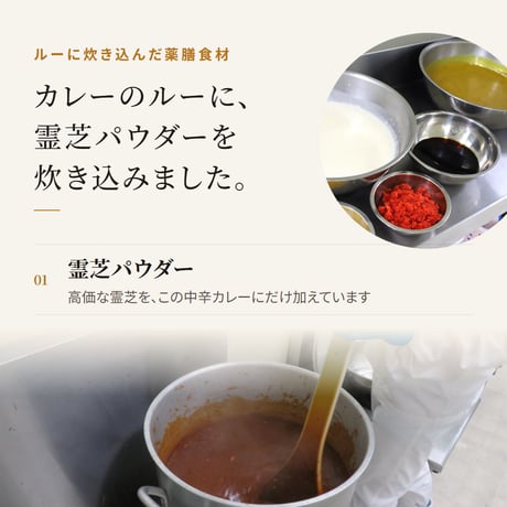 霊芝薬膳中辛カレー 180g レトルト｜日本初の本格薬膳カレー 霊芝パウダーを炊き込んだ 中辛  国内製造 残留農薬検査済み 長寿薬膳堂