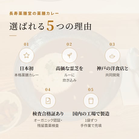 霊芝薬膳中辛カレー 180g レトルト｜日本初の本格薬膳カレー 霊芝パウダーを炊き込んだ 中辛  国内製造 残留農薬検査済み 長寿薬膳堂