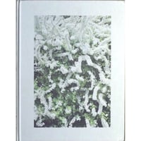 『微花 1. / 春』