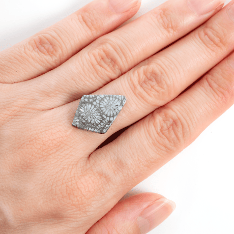 夏の素肌に映えるモノトーン|クールグレイ・フォッシルコーラル 5.0ct（菊目石/天然石ルース）
