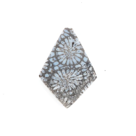 夏の素肌に映えるモノトーン|クールグレイ・フォッシルコーラル 5.0ct（菊目石/天然石ルース）