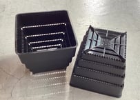 すごい根　大サイズ　ショート(バラ売り)