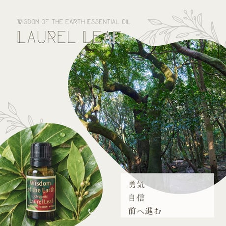 wisdomoftheearth | STORES