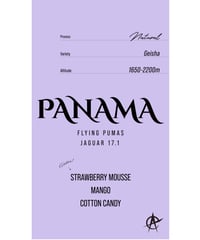 Panama Flying Pumas Jaguar 17.1, Geisha - Natural