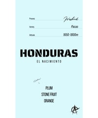 Honduras El Nacimiento, Pacas - Washed