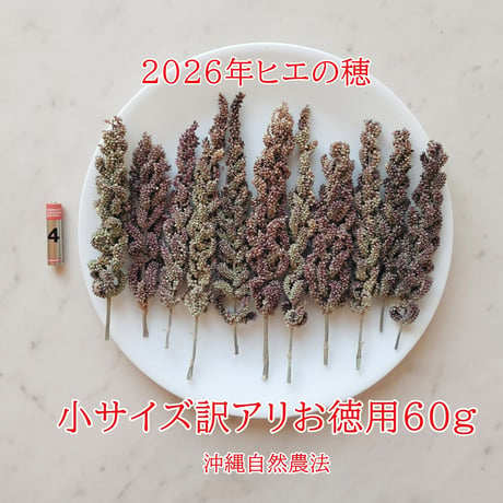 2026年販売ヒエの穂販売