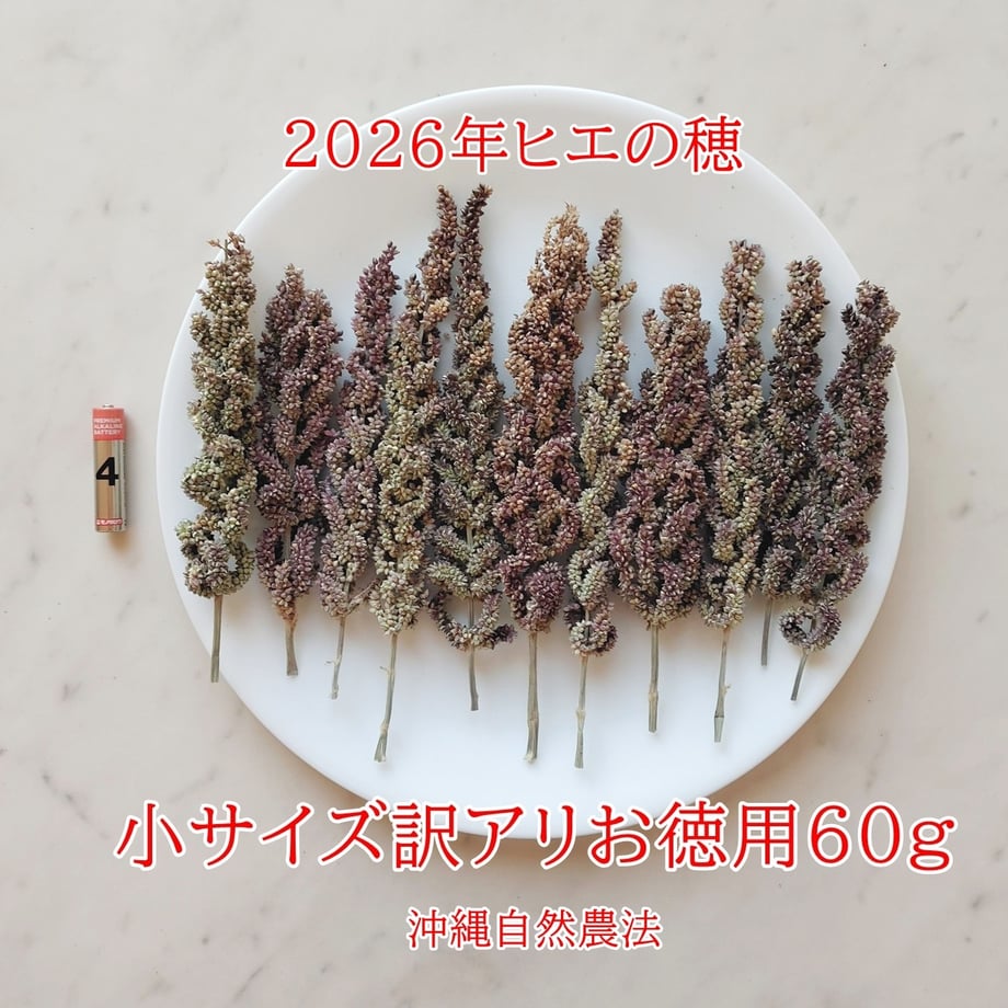 61f4f6cec15c5a6a5f465a1c