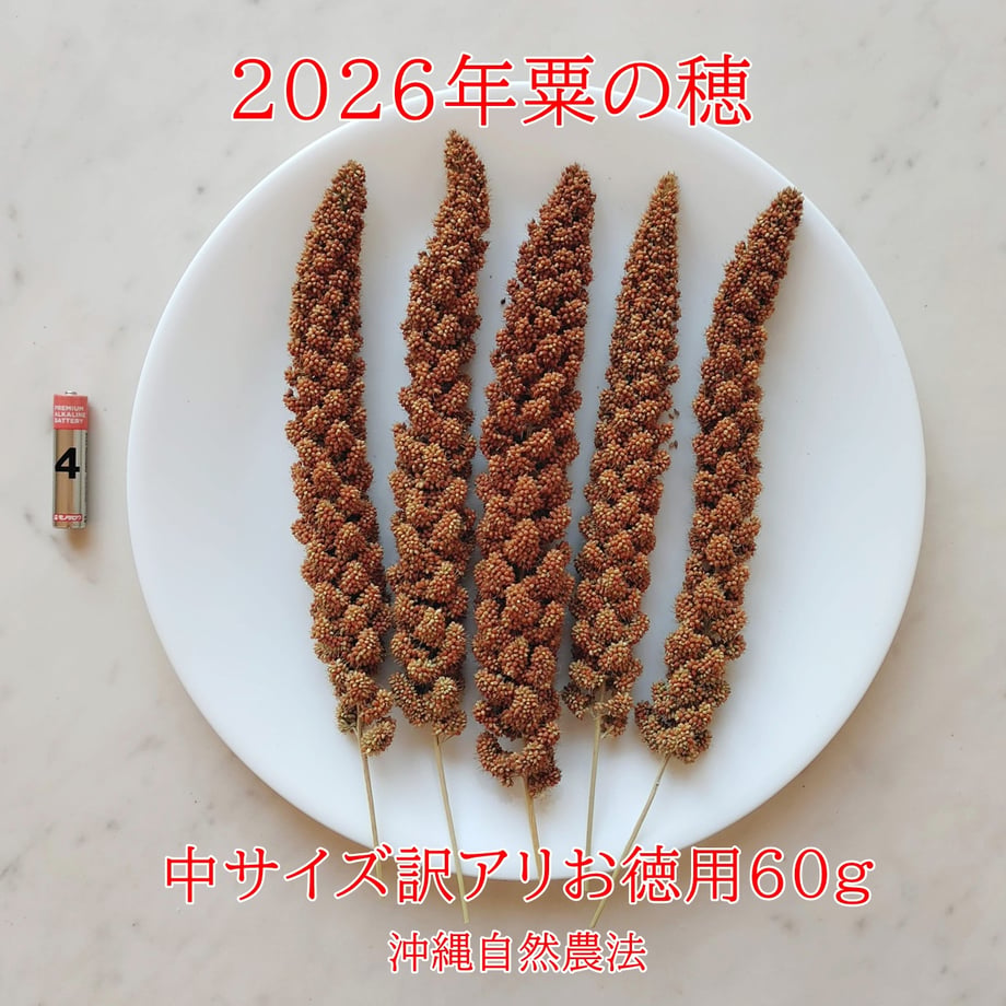 68d533d09183253a8485b5ac