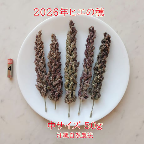2026年販売ヒエの穂販売