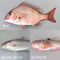 福岡市産魚のmixジャーキー★20g