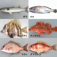福岡市産魚のmixジャーキー★25g