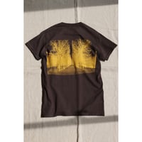 UTP  "中庭 Tee"brown