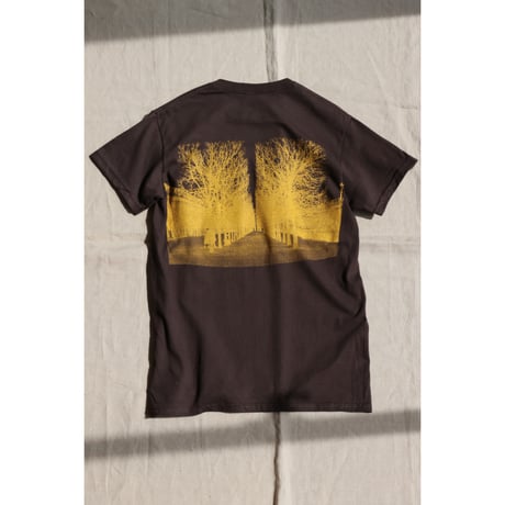 UTP  "中庭 Tee"brown