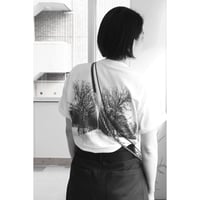 UTP  "中庭 Tee"
