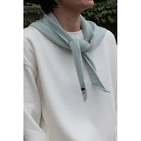 extreme cashmere "bandana"glass