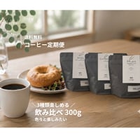 【送料無料】3種飲み比べ定期便 300g（100g×3袋）