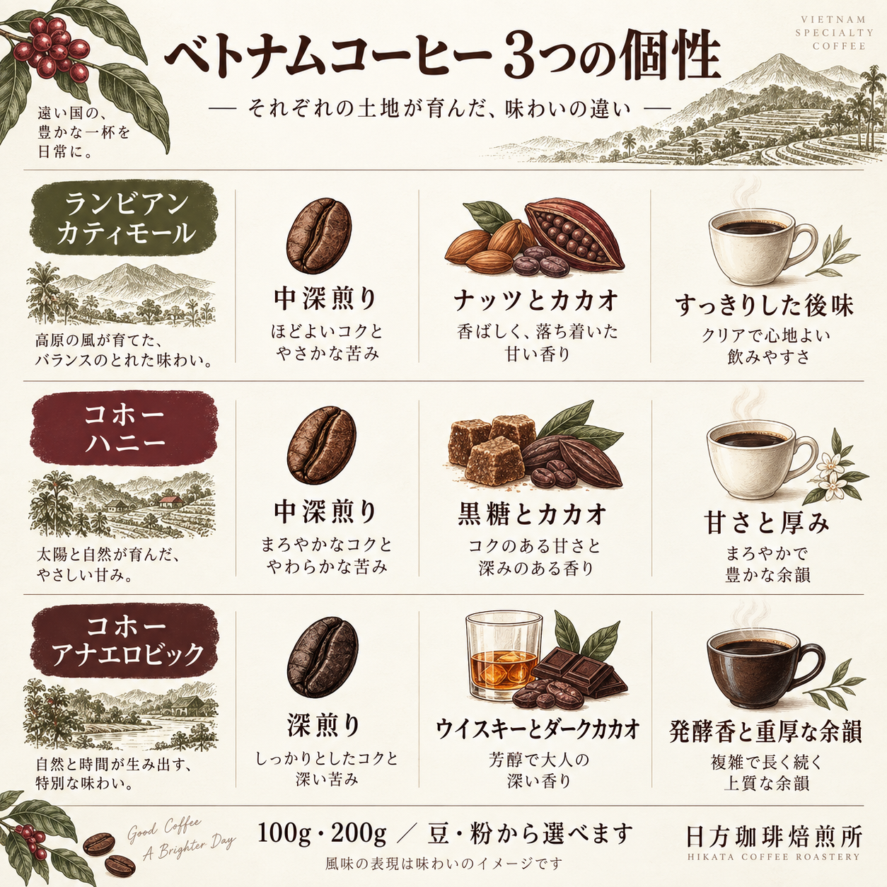 コーヒー豆｜ベトナム ランビアン カティモール ウォッシュト｜中深