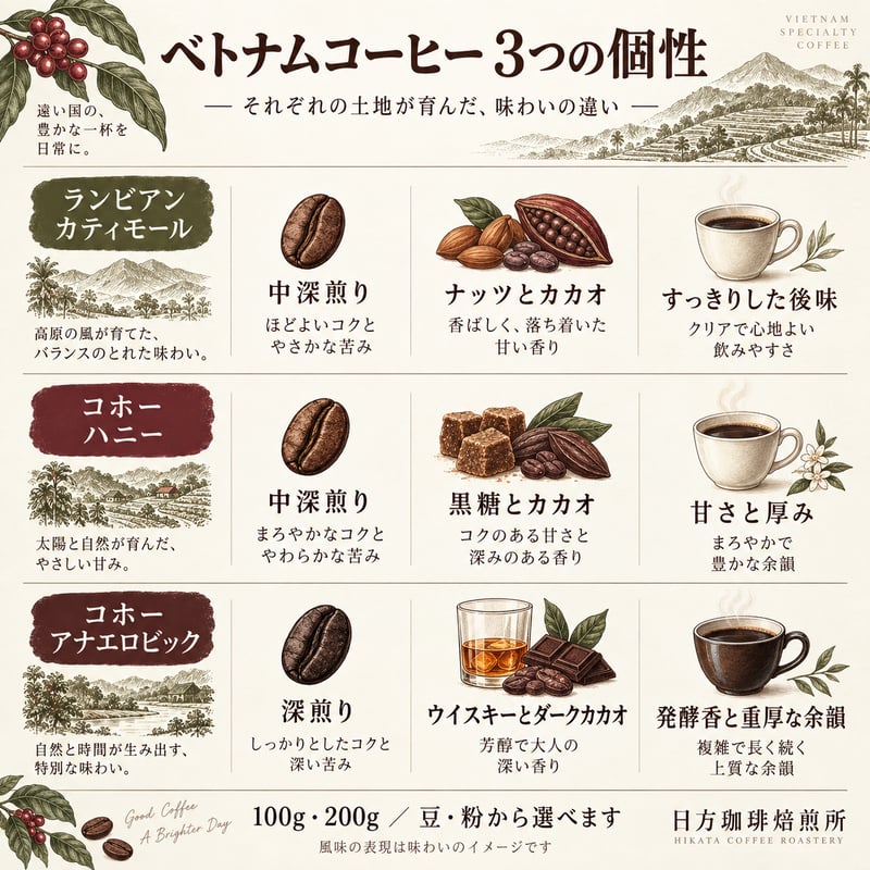 コーヒー豆｜ベトナム K'HO（コホー） ファインロブスタ アナエロ