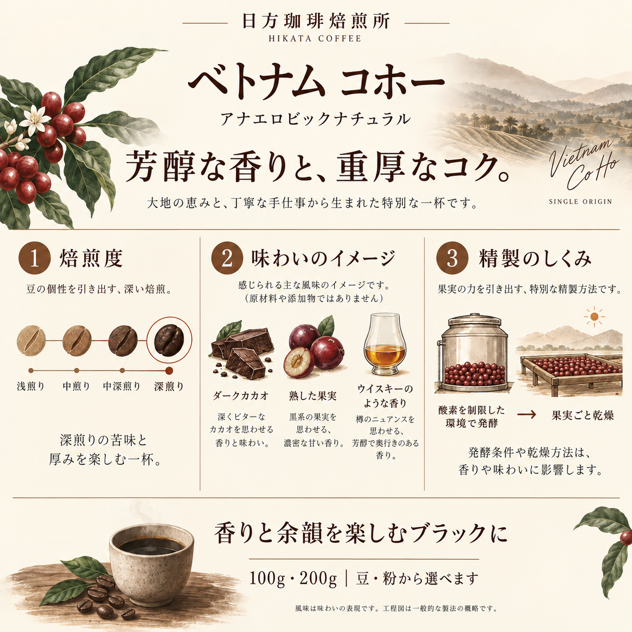 コーヒー豆｜ベトナム コホー ファインロブスタ アナエロビック｜深