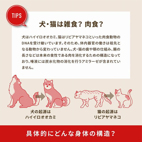 Origen Cat  ツンドラ  340g/1.8kg