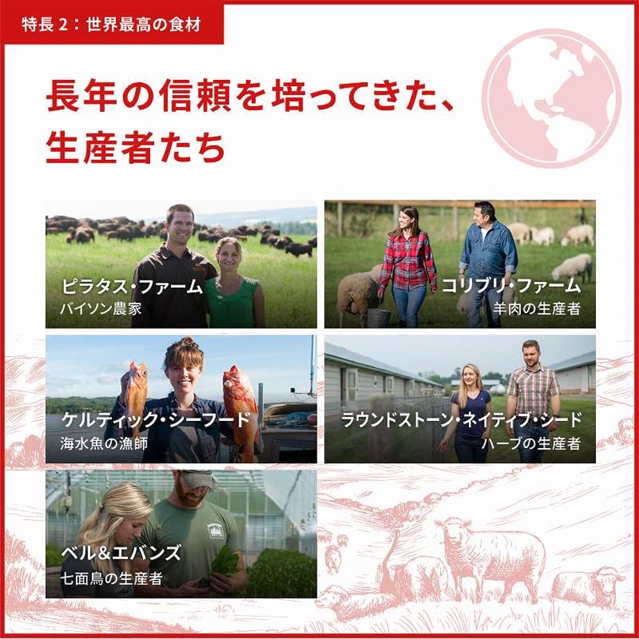 6a7bdac59ecae61ee5ce2378